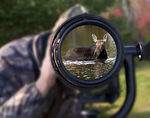 Moose : 