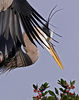 Accolades :  Herein lies some of our photographs that have won awards, been published, etc.